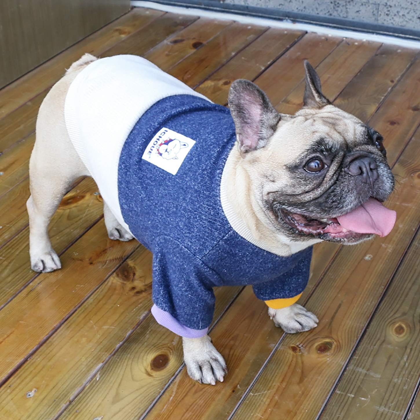 iChoue Pet Dog Jumpers Crewneck Sweater Color Block Pullover Winter Warm Clothes for French Bulldog Frenchie Pug Puppy - Image 5