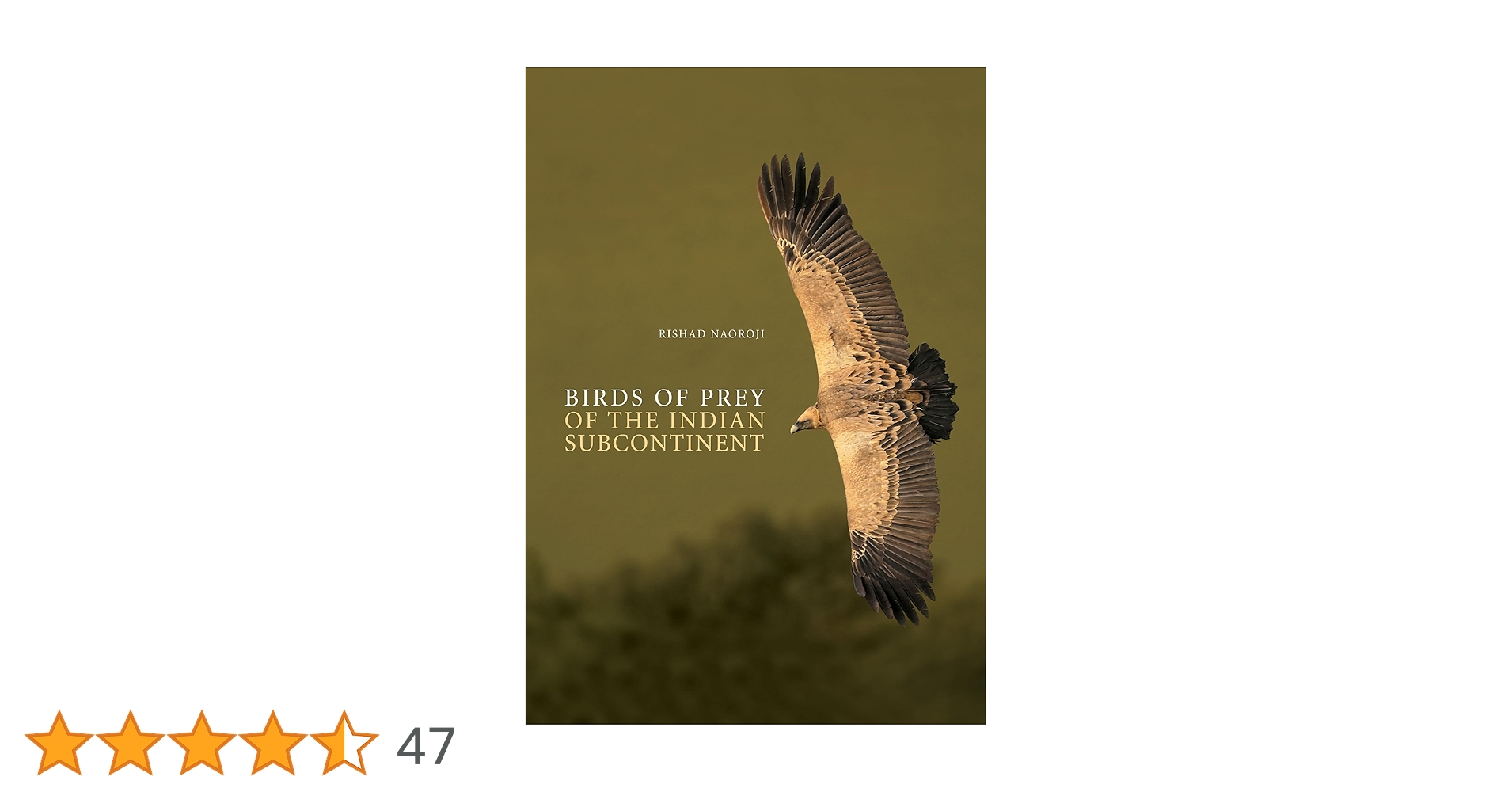Birds of Prey of the Indian Subcontinent (ID Guide