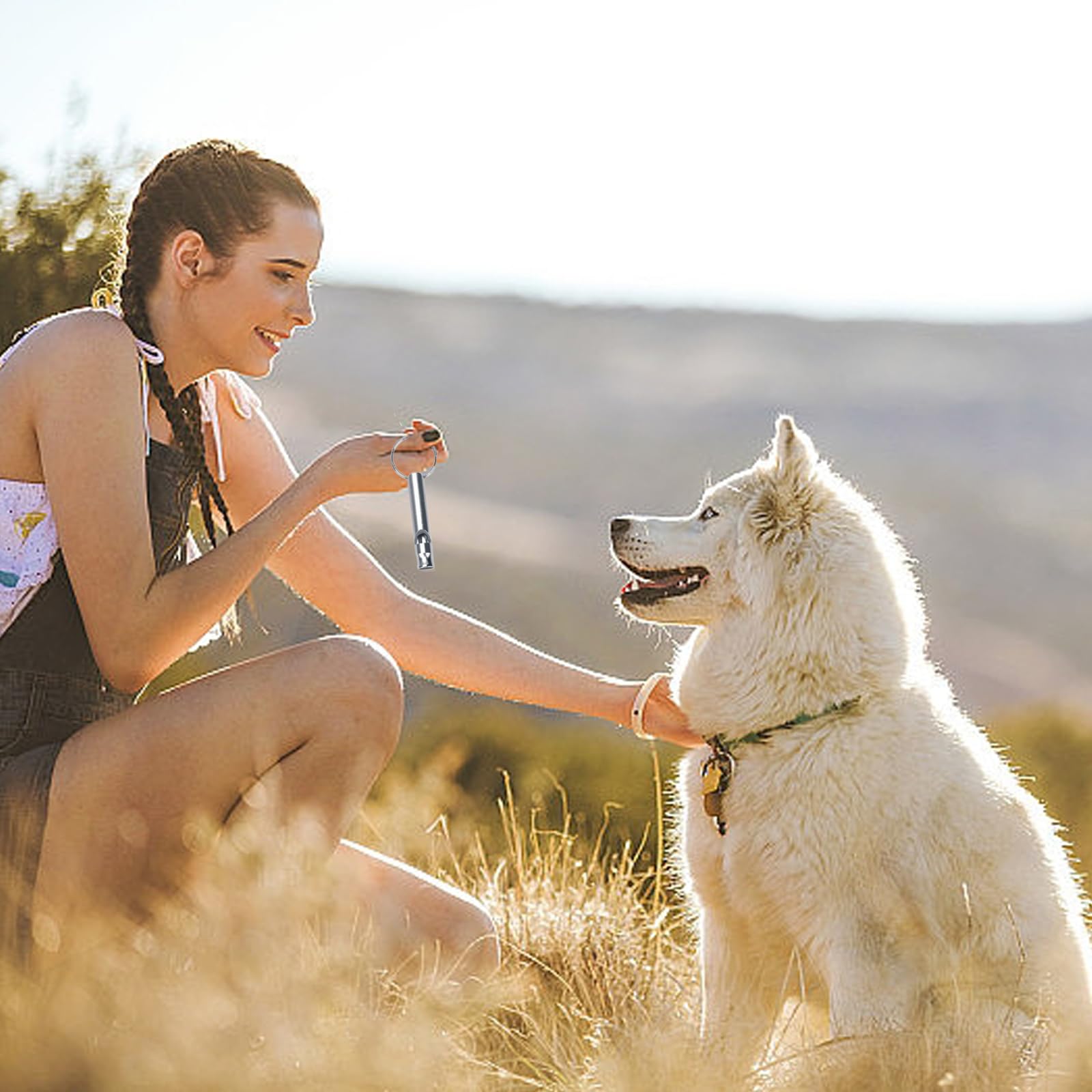 6 Pièces Sifflet Ultrason Chien Rappel Anti Aboiement Chat Rappel, Sifflet De Survie, Aluminium, Aides Au Comportement, Outils De Contrôle, et 6 Cordon Tour De Cou