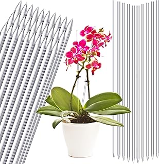 30 Pcs 15.6 Inch Acrylic Plant Stakes Garden Stakes Clear Orchid Stakes Clear Plant Sticks Potted Plant Support Stakes for Supporting Vines Grow Upright