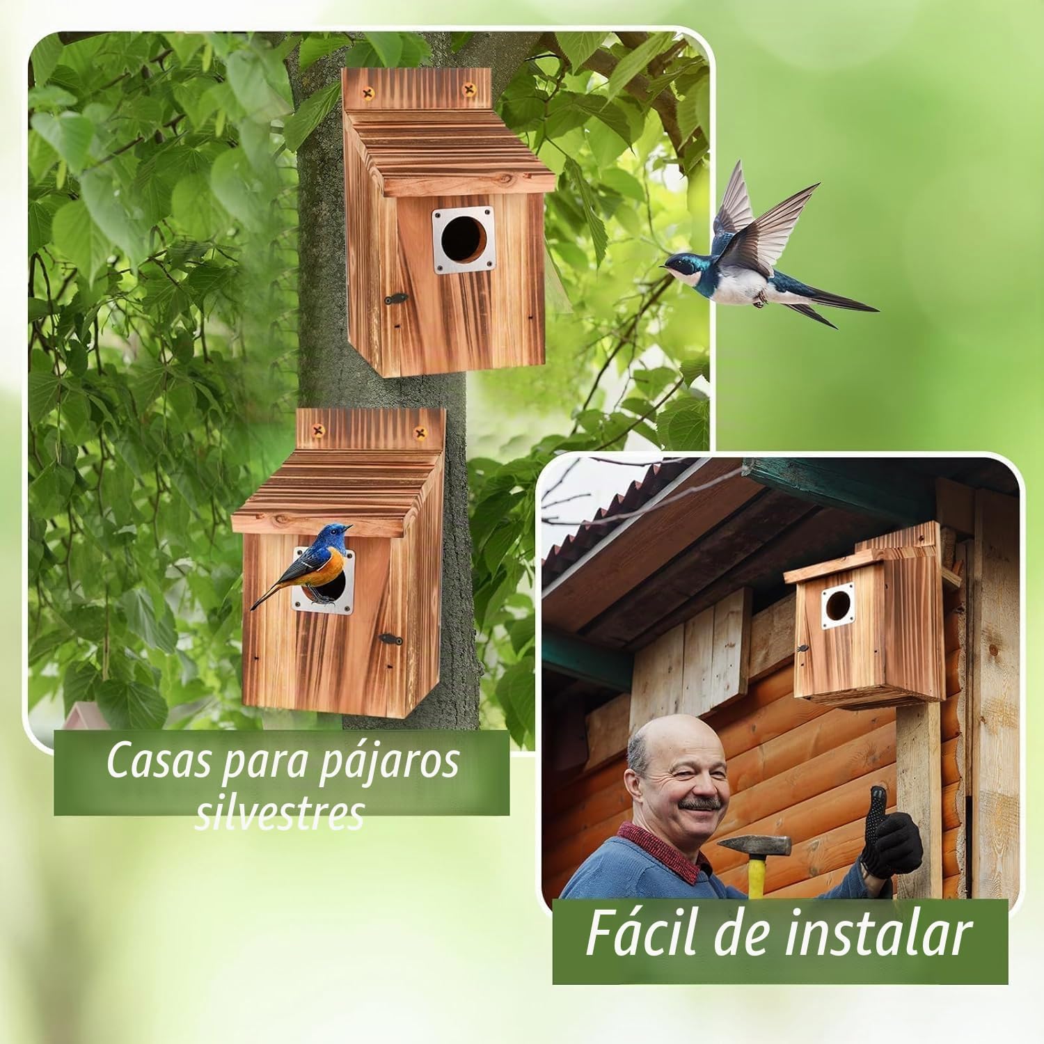 4 Piezas Casita pajaros Exterior, con Protectores metálicos, cerraduras de Seguridad, Ranuras de Vuelo & ventilación, Entrada de 3,8 cm