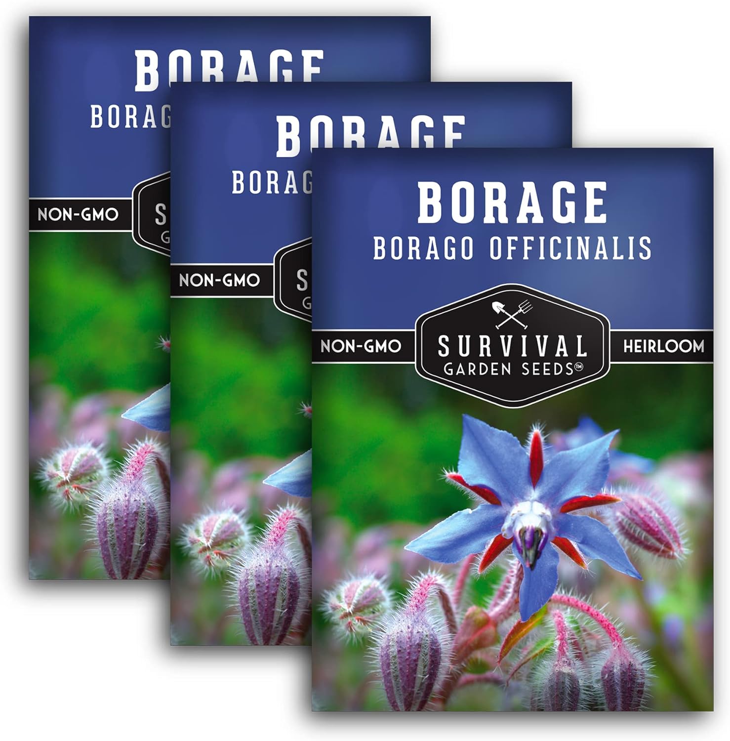 Survival Garden Seeds Borage Seed for Planting 3 Packs