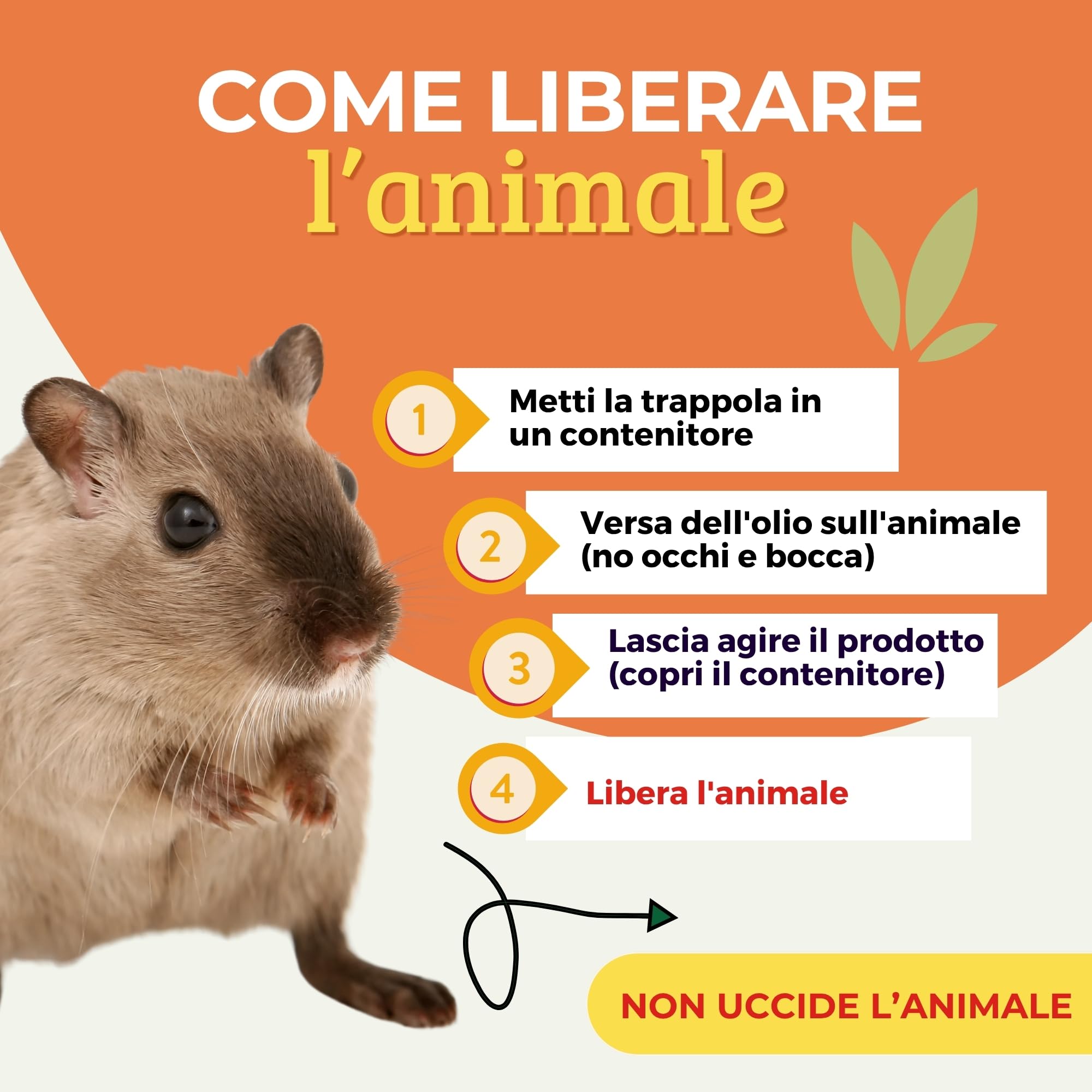 Albagarden - Trappola Adesiva MINI per Topi, Ratti, Scarafaggi, Formiche e Lucertole. Tavoletta con Colla Potente e Aroma Alimentare, Uso Interno ed Esterno x 2 Pz