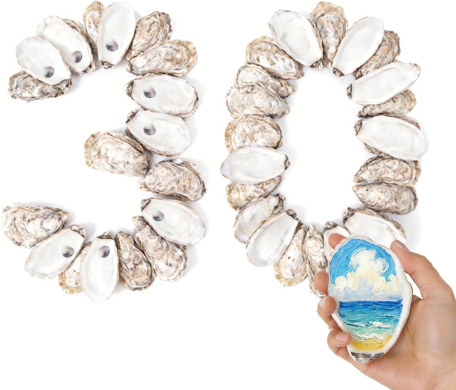 30Pcs 4"-6'' Oyster Shells for Crafts Large Oyster Shells for Crafts Christmas Ornaments Natural Oyster Shell Beach Themes Home Decor Painting Wedding
