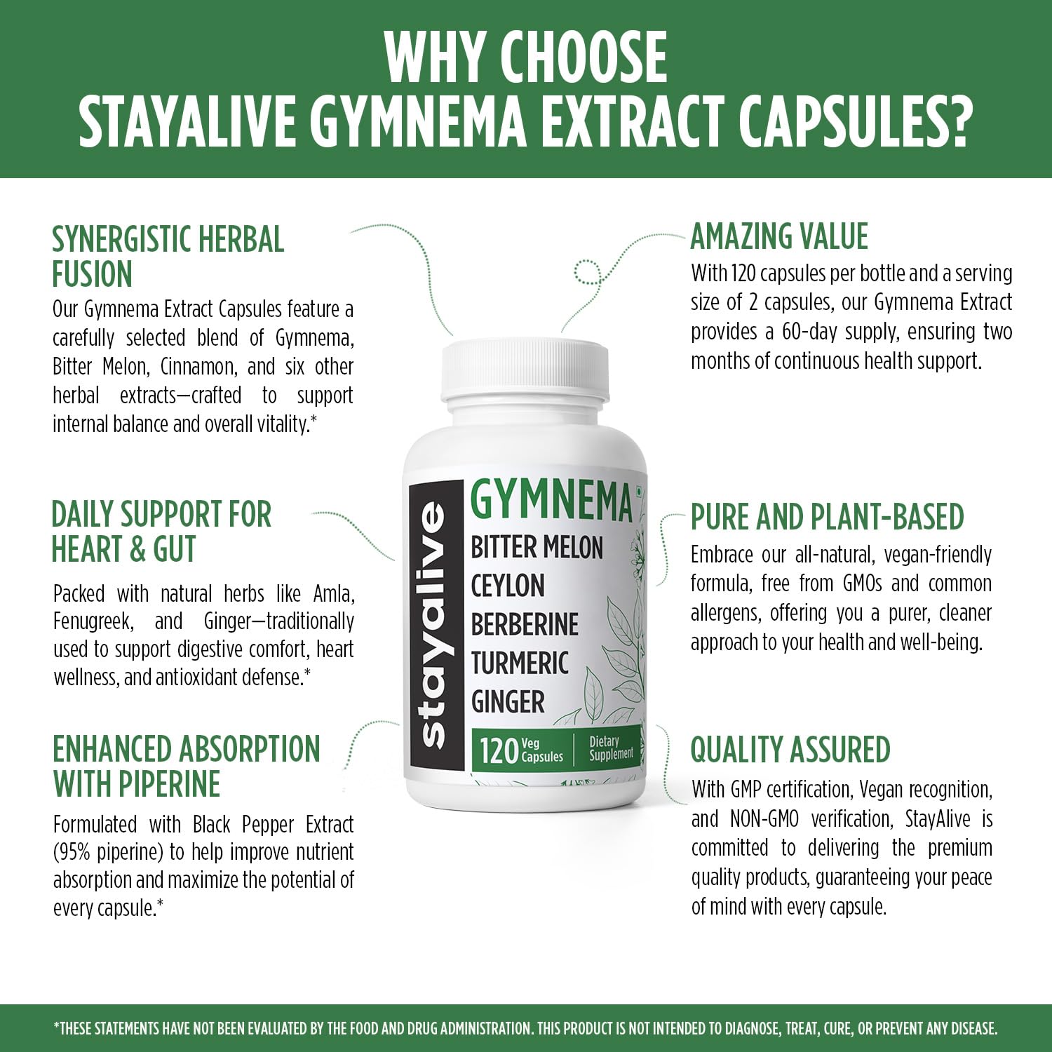 STAY ALIVE Gymnema Sylvestre 25:1 Extract, 120 Capsules with Bitter Melon, Ceylon Cinnamon, Berberine, Turmeric, Ginger, Amla Powder and Fenugreek, Non-GMO & Gluten Free Gymnema Sylvestre Supplement - Image 5 thumbnail