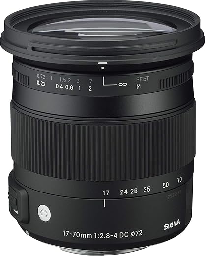 Sigma 17-70mm f/2.8-4 DC OS HSM for Canon