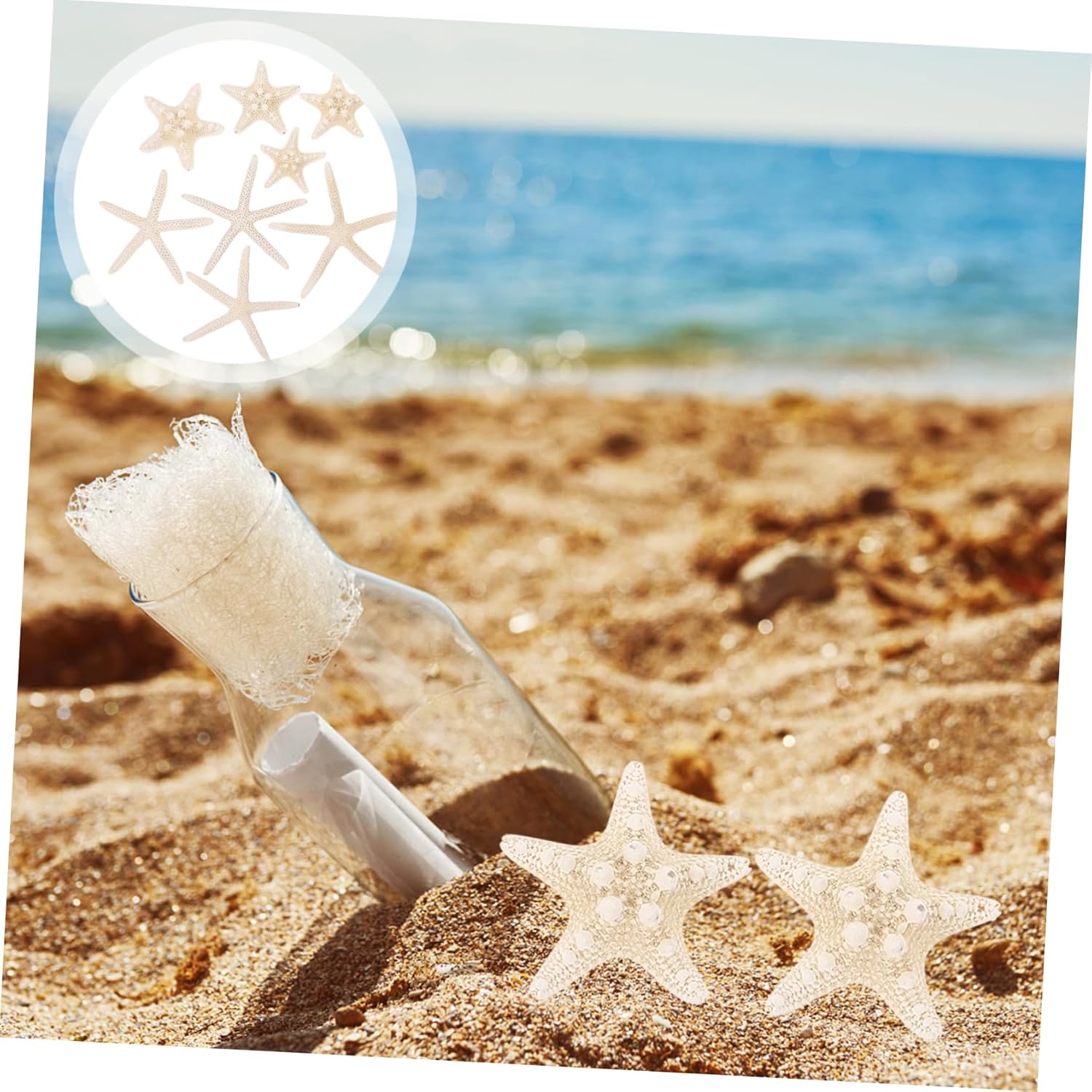 Large Sea Shells for Decoration,8pcs Starfish Drift Bottle Coastal Vase Fillers Sea Star for Crafts Finger Star Fish Wall Decor Star Fish for Vase