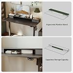 Agilestic 48 x 24 Inches Electric Standing Desk with 2 Storage Drawers, Adjustable Height Sit and Stand Computer Table with Splice Board, Black