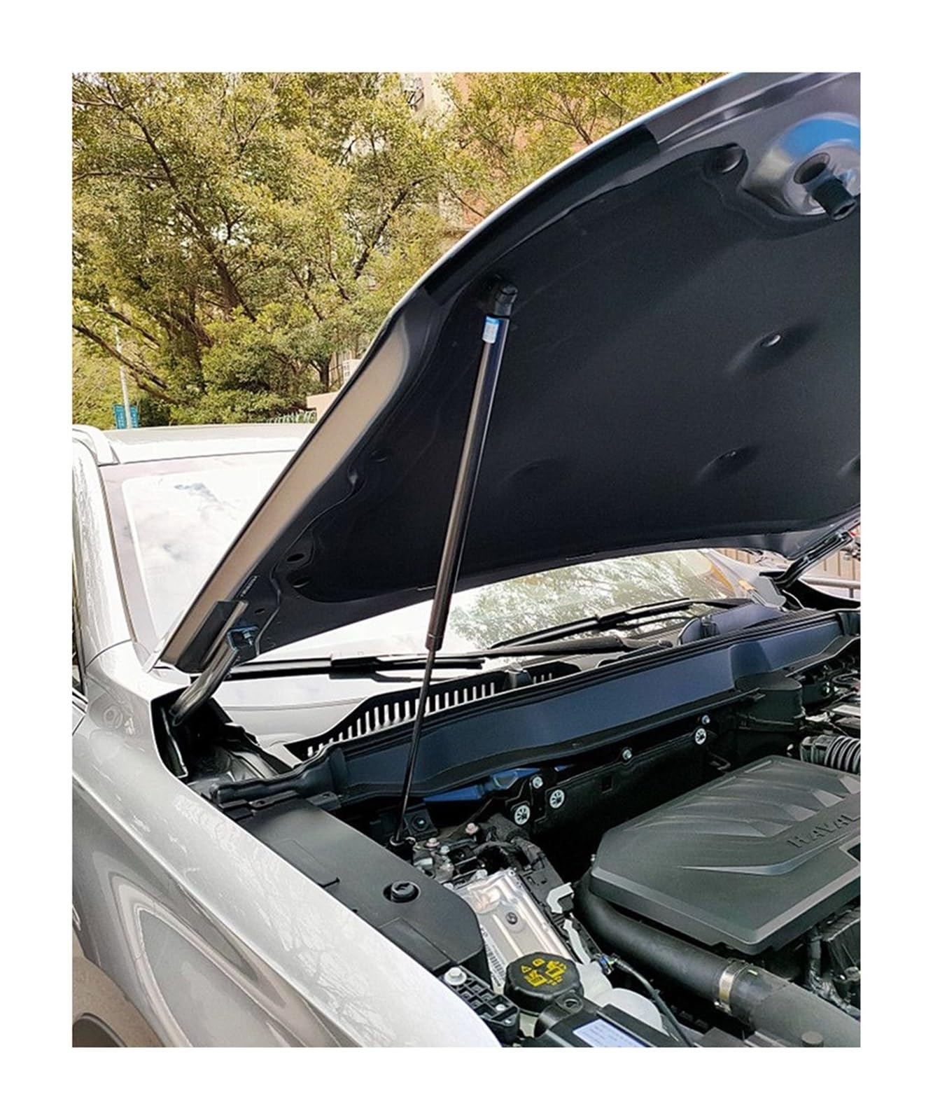 Amazon.co.jp: エンジンダンパー ホーバー用 H6 GT/H6S 2022