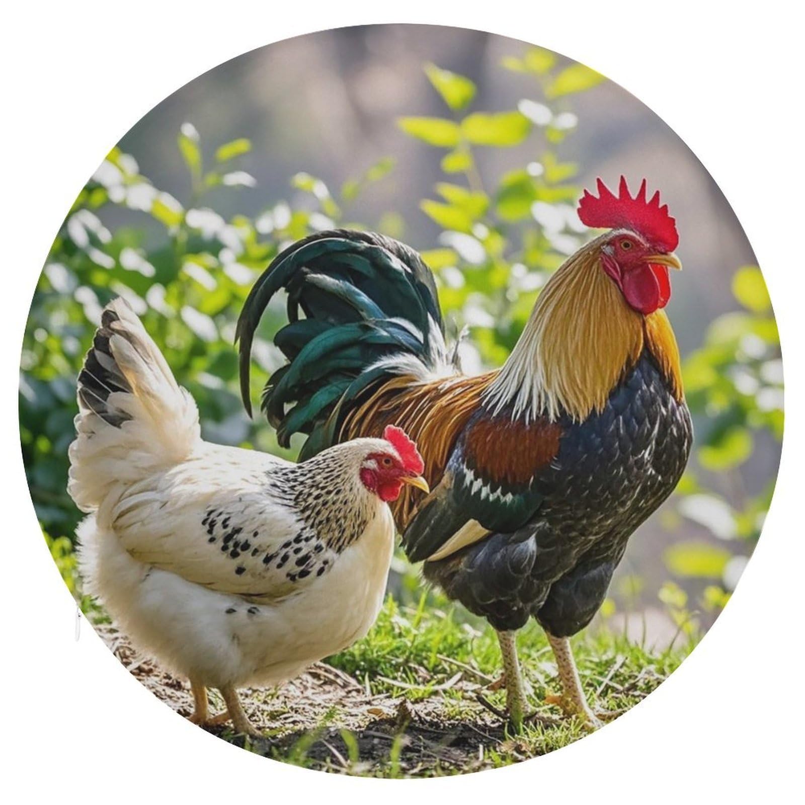 FekiLoot Rooster and Hen Seat Cushion Comfort Memory Foam Seat Cushion Chair Pad Soft Round Stool Cushion Chair Cushion Removable Washable Cover for Home Office Outdoor Bistro 15.35 Inch