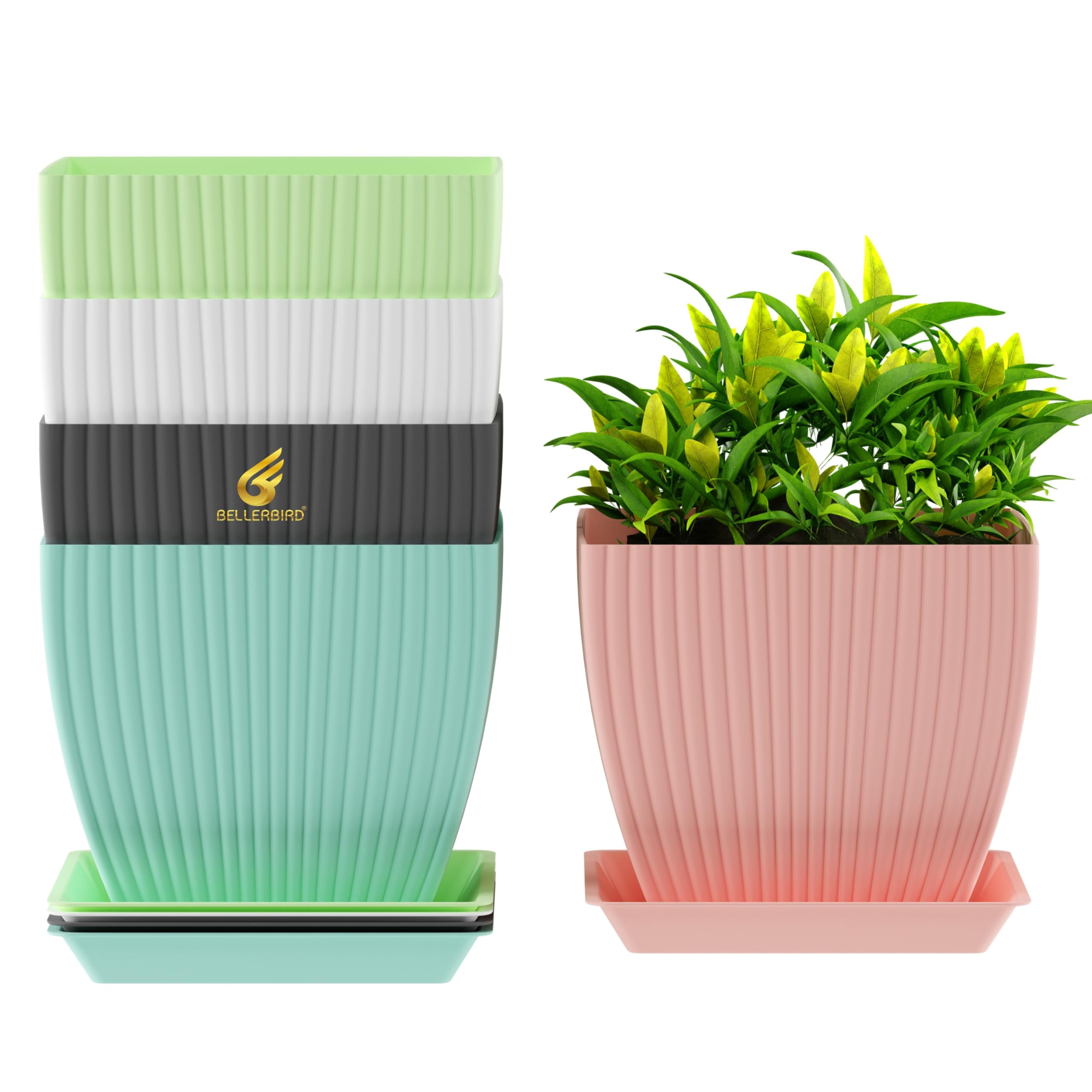 See full amazon price history chart for BELLERBIRD Plastic Round Flower Pots for Home Planters, Terrace, Garden Etc | Pack of 05 | Multicolor | Suitable for Home Indoor & Outdoor Gardening Plants BELLERBIRD Plastic Round Flower Pots for Home Planters, Terrace, Garden Etc | Pack of 05 | Multicolor | Suitable for Home Indoor & Outdoor Gardening Plants (B0DGXZ3Z65) Amazon Price History, Amazon Price Tracker