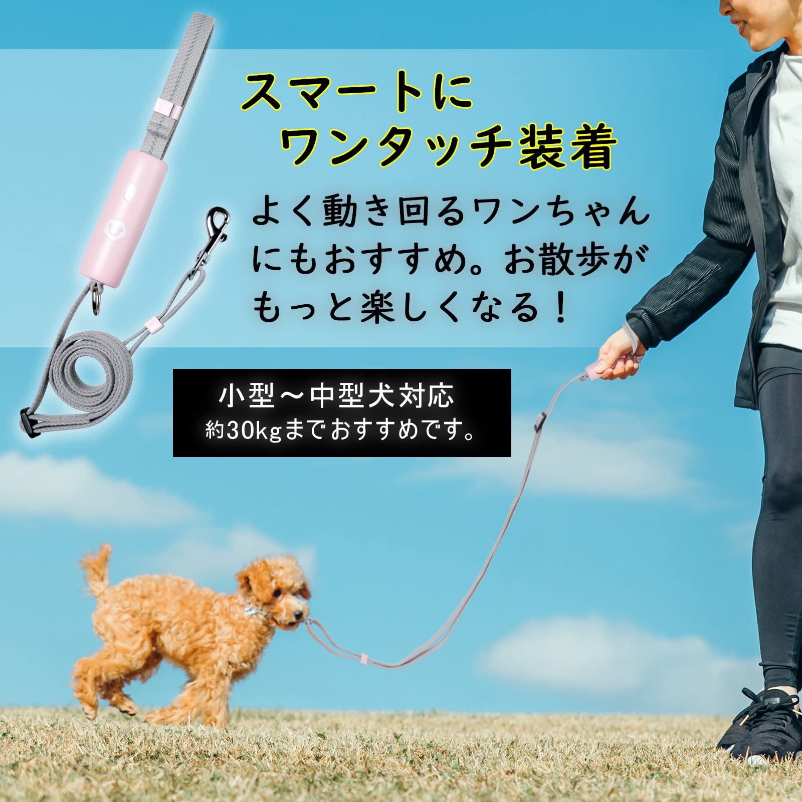 ☆ buenacosa 犬 犬用リード 小型 中型犬用リー ト ブラック 772 Amazon | buenacosa 犬 犬用リード 小型 中型犬用リード 訓練リード