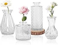 HAISIWLKJ Set of 4 Vintage Glass Bud Vases - Small Clear Mini Flower Vases, Rustic Table Centerpieces for Weddings, Parties & Home Decor