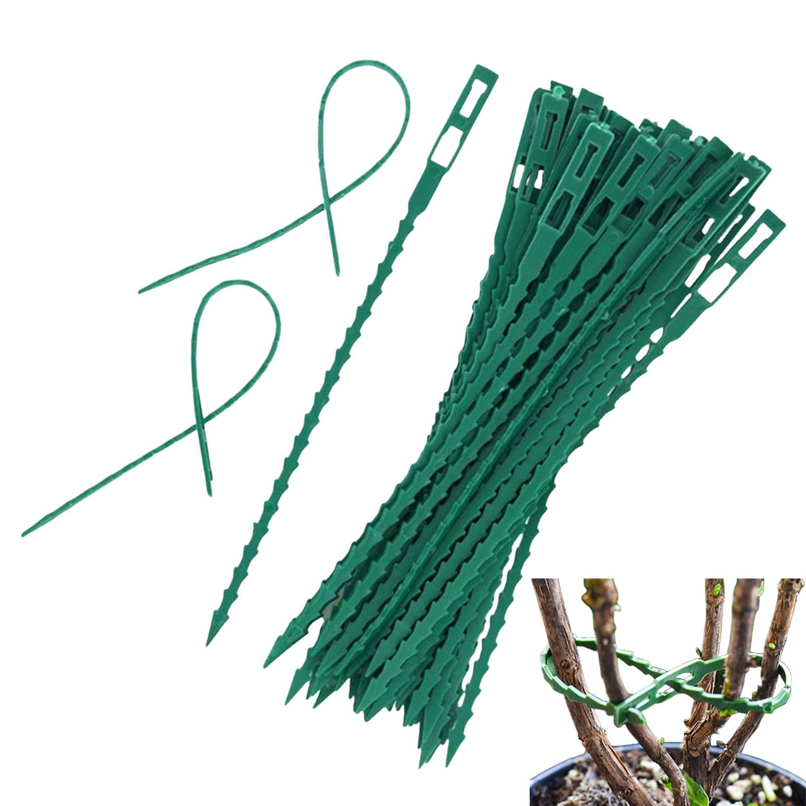 Fascette per piante rampicanti, Fascette per piante - Legami di vite Legami di piante - Fascette da giardino, 50 fascette regolabili per supporto per piante, piante di supporto e organizzazione della