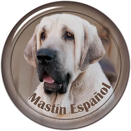 Amazon マスティンエスパニッシュ犬の動物のデカール車のステッカーpvcデカールバンパーリアウィンドウラップトップ用防水オートバイ13cm 15cm 17cm ステッカー デカール 車 バイク