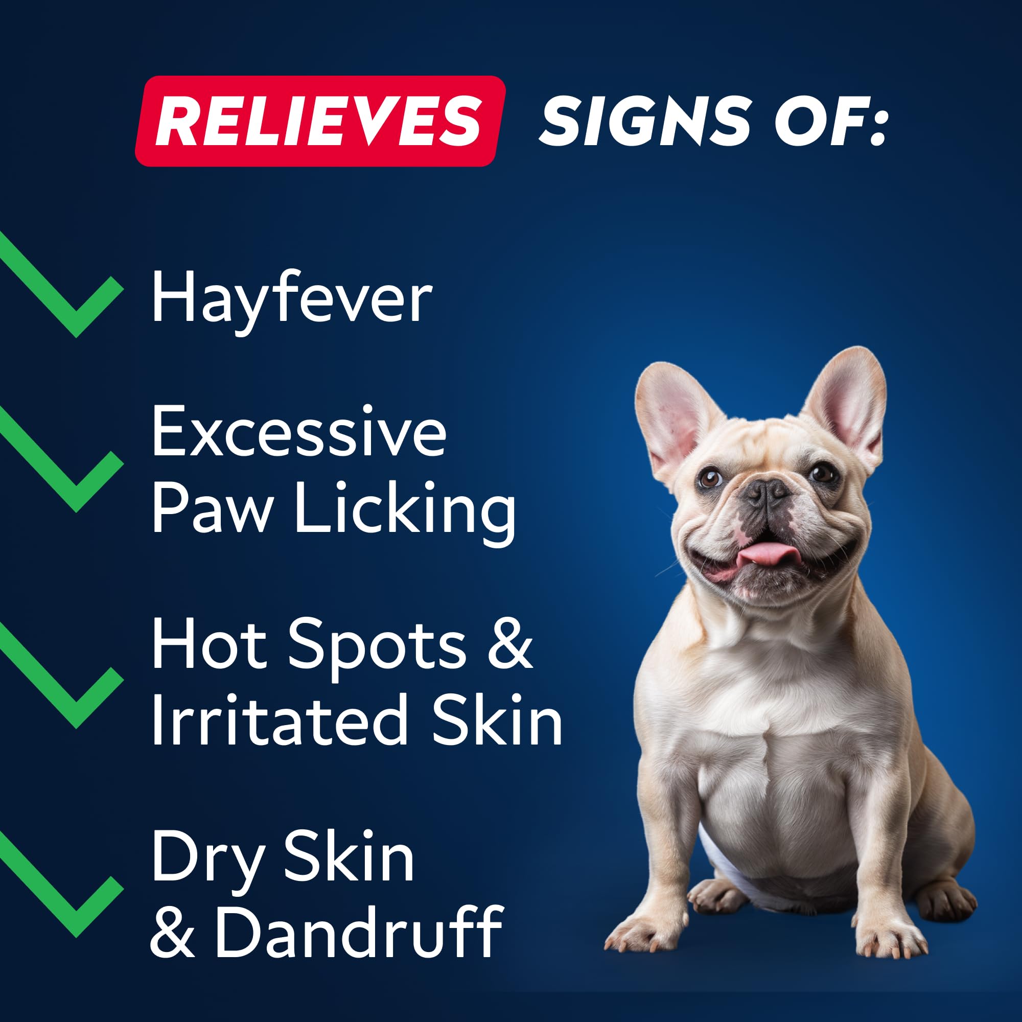 STRELLALAB Itch Support Chews for Dogs with Omega 3 Fish Oil, Itchy Skin Support Immune Supplement, Skin & Coat Health - Image 4