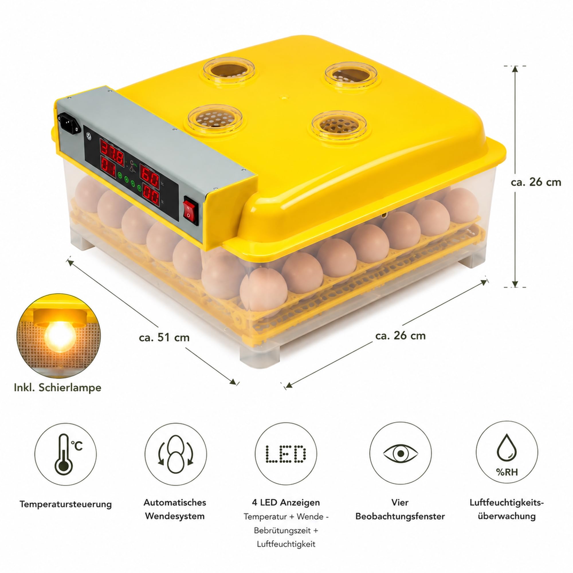 Mucola Brutautomat Brutmaschine vollautomatisch 48 Eier Inkubator Gelb | Automatische Wendung und Temperaturregelung, Anzeige für Luftfeuchtigkeit und Brutzeit, inkl. Schierlampe, für Hühner, Enten