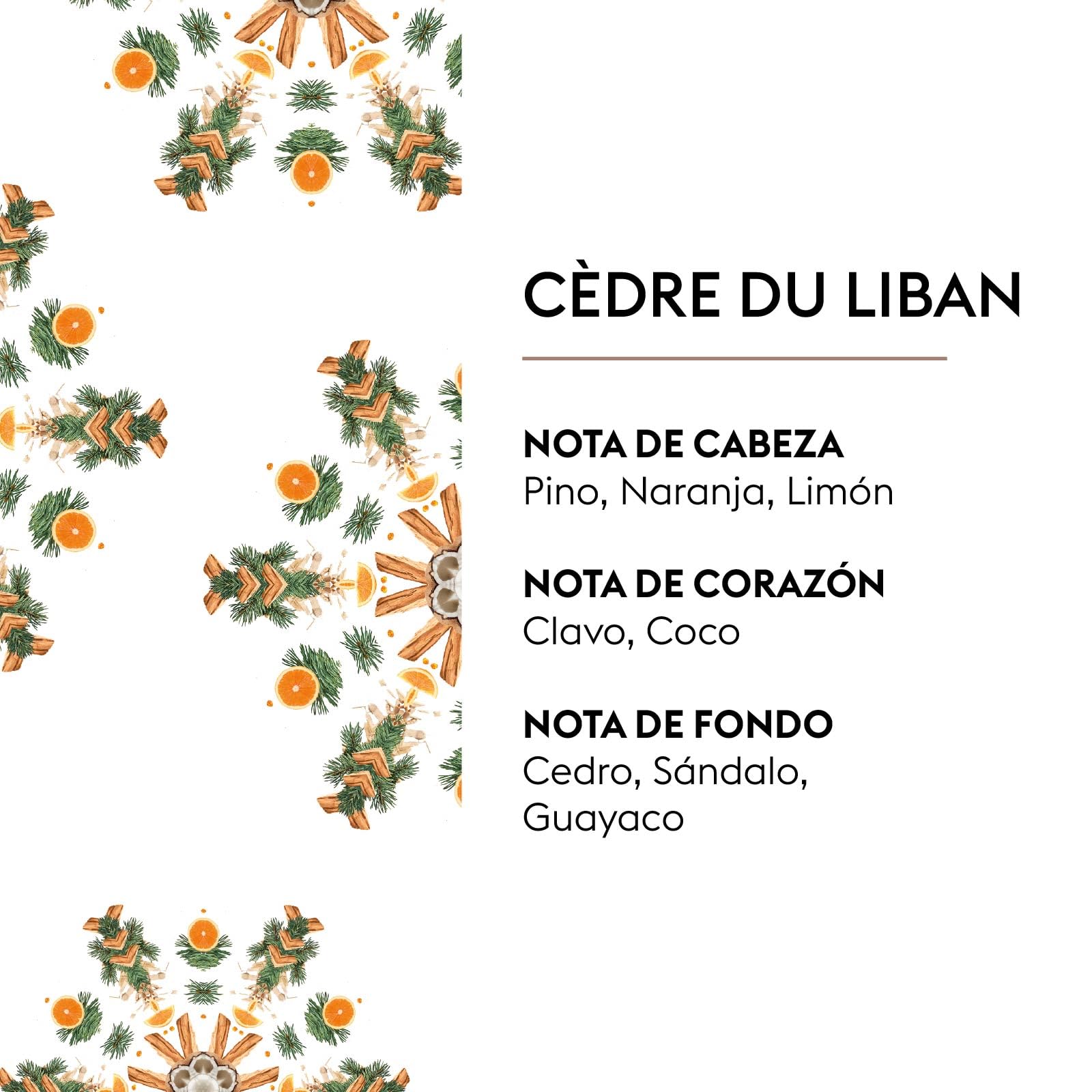 Maison Berger – Recarga Lampe Berger Cèdre du Liban 500 ml – Cedro y limón – Fragancia Amaderado seco – Fabricado en Francia