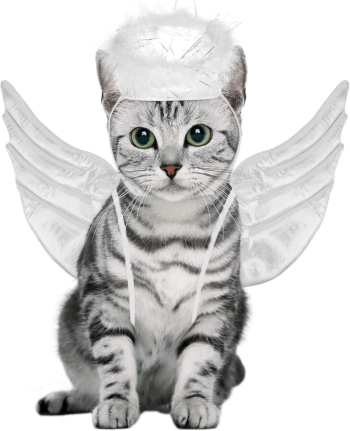 Ropa para gato y disfraz de Halloween POPETPOP con alas de ángel blancas, talla L