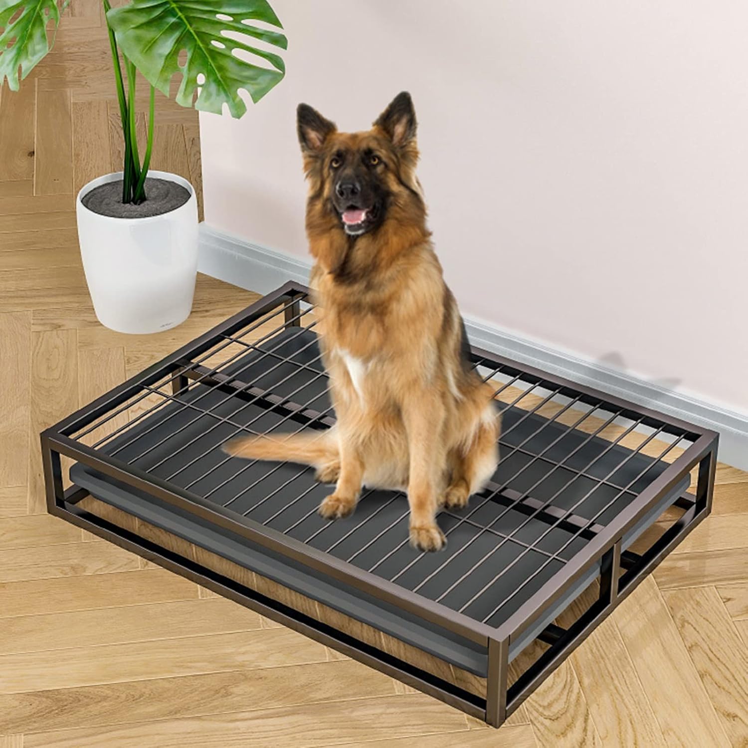 Buy Junorstar Extra Large Dog Potty Indoor Outdoor, Heavy Duty