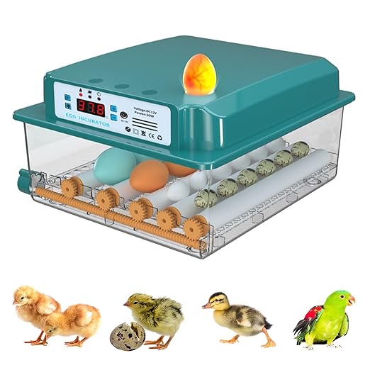 Ownsig Eggs Incubator with Automatic Egg Turning