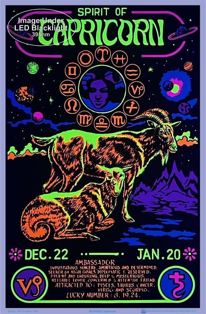 Amazon.com: Capricorn Zodiac Sign - Flocked - Blacklight Poster