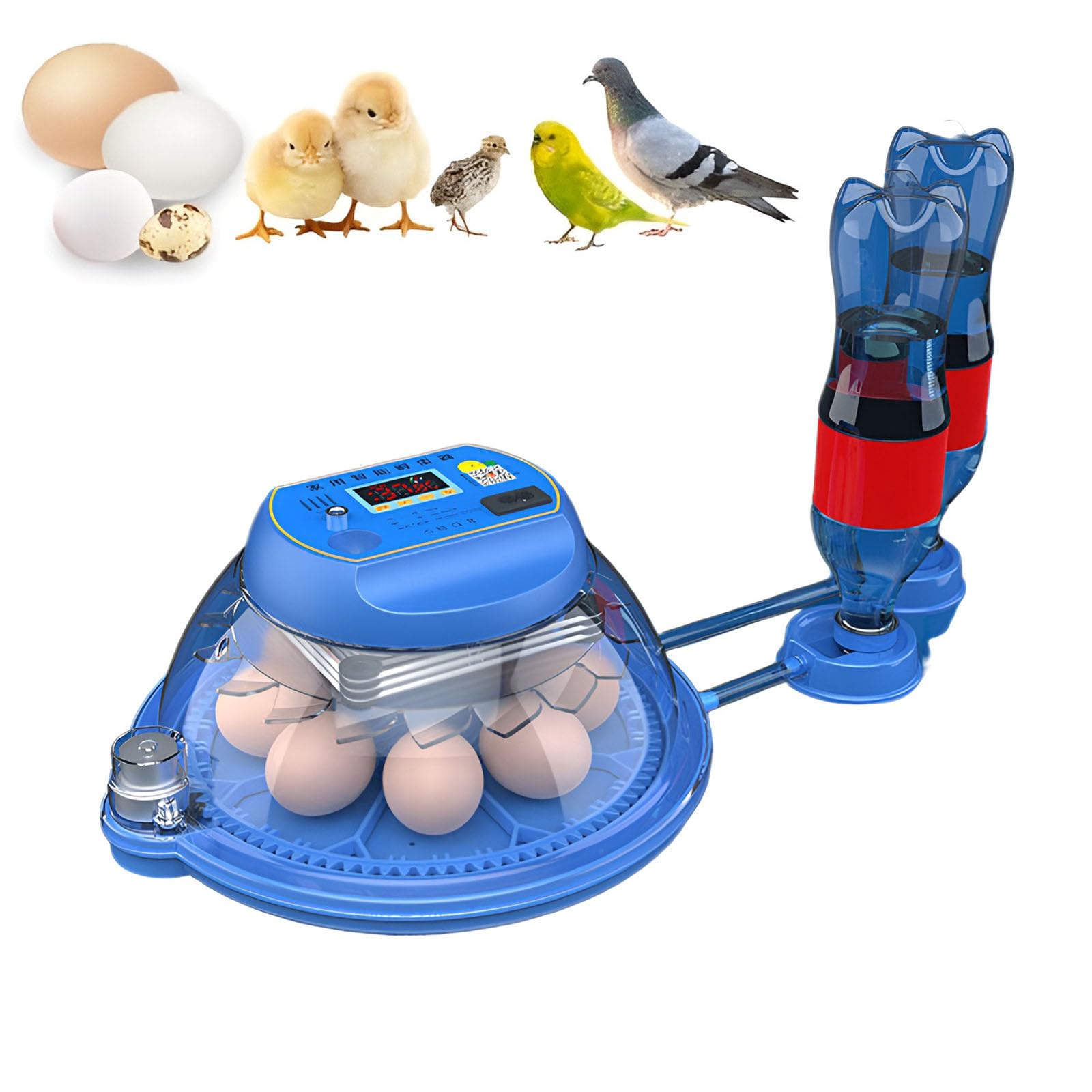 Incubadora de huevos para incubar huevos, volteador automático de huevos con control de humedad, incubadora de aves de corral para pollo, codorniz, pato, ganso, loro, para el hogar, granja