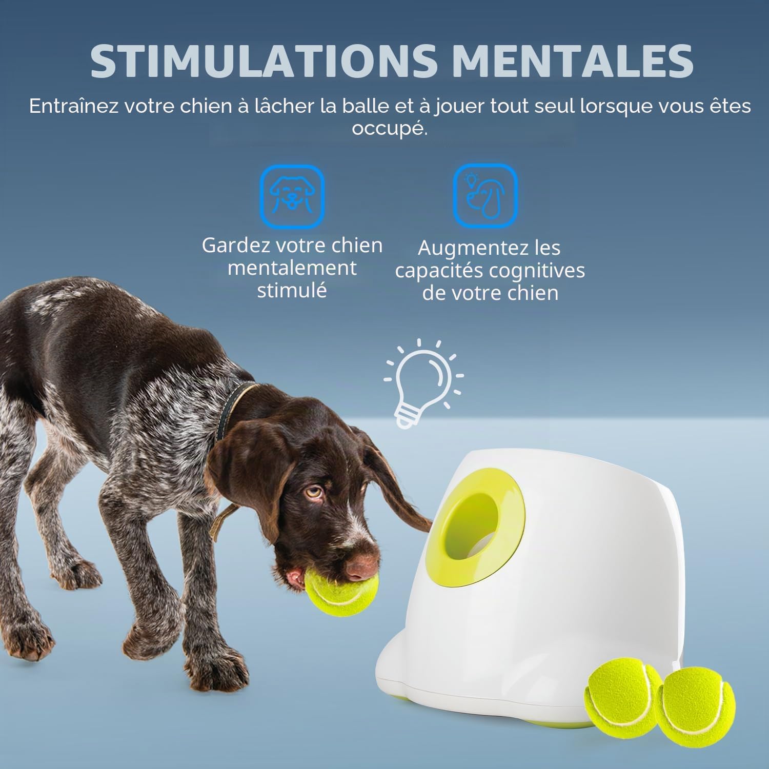 ALL FOR PAWS Hyperfetch Lanceur de Balles Automatique pour Chien– Machine à Lancer de balles Interactive avec 3 balles de Tennis (Lanceur de Balles Automatique en Grand Format)