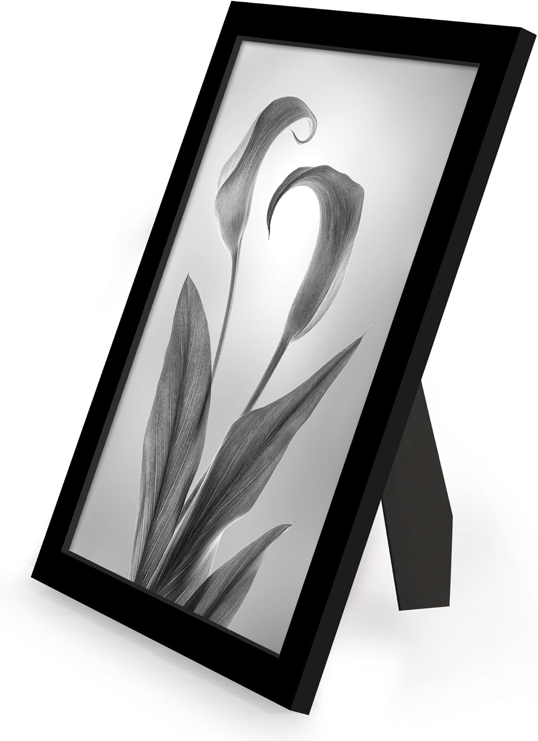 Americanflat 8x12 Picture Frame with Polished Plexiglass - Set of 12 - Signature Collection - Picture Frames with Engineered Wood - Photo Frame for Tabletop and Wall Display - Black