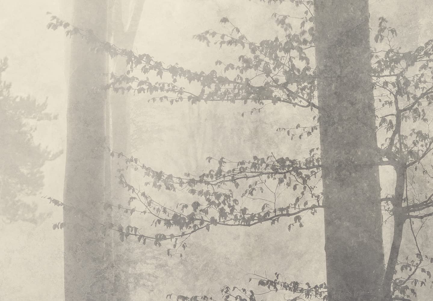 murando Fototapete Premium-Vlies Wald 450x315cm Foto Tapete Schlafzimmer Wohnzimmer Moderne Vliestapete XXL Wandtapete Motivtapeten Bildtapete 3d Effekt Wand Dekoration Bäume Nebel Bach Landschaft