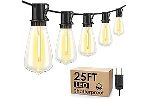 25FT Outdoor String Lights: Illuminate Your Nights with Brilliance