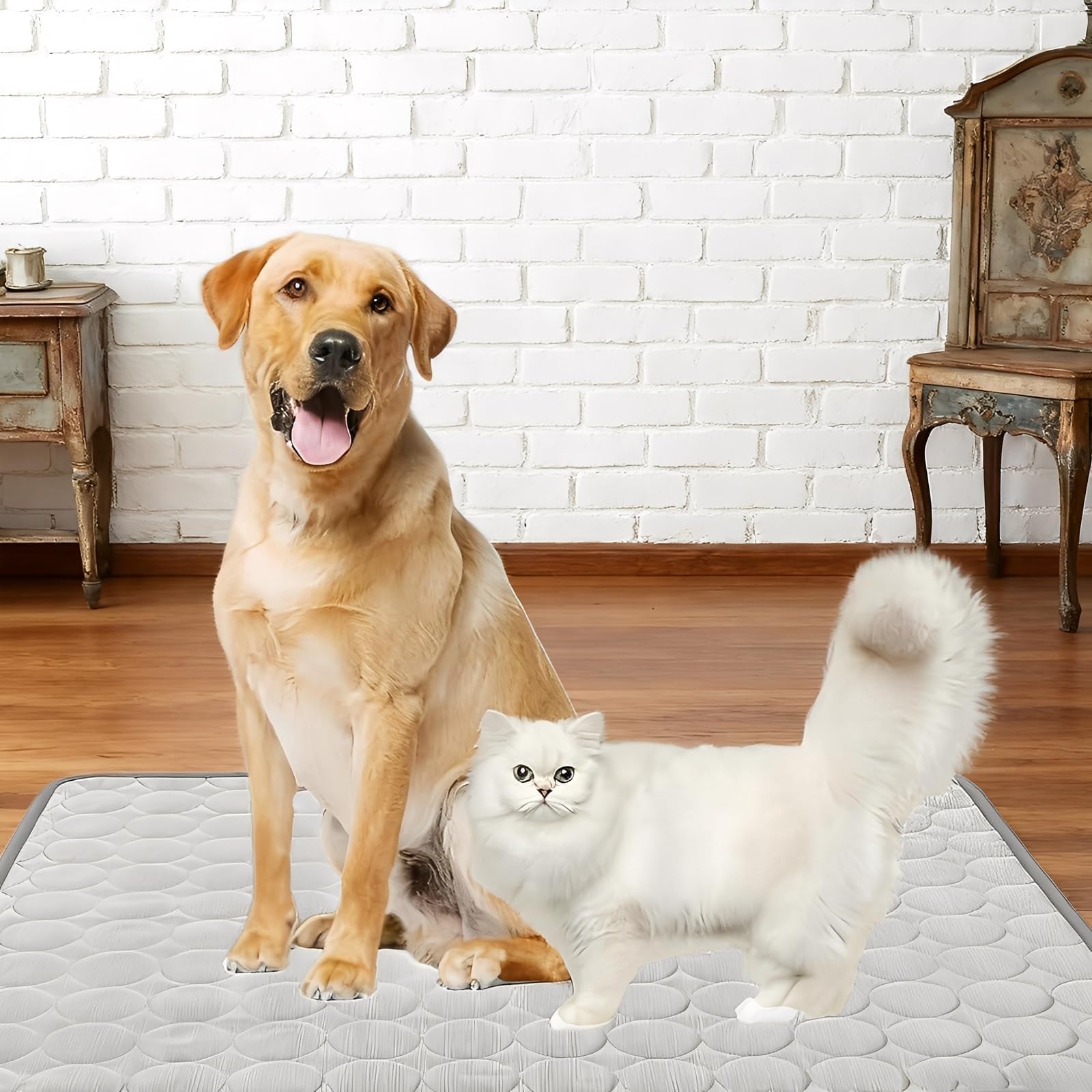Manta Refrescante para Perros, 100 × 70 cm Colchoneta Perro, Seda Hielo Manta Fria para Perros, Gris Alfombra Refrescante Perro, Alta Disipación Térmica, Suave, Adecuada para Perro y Gatos