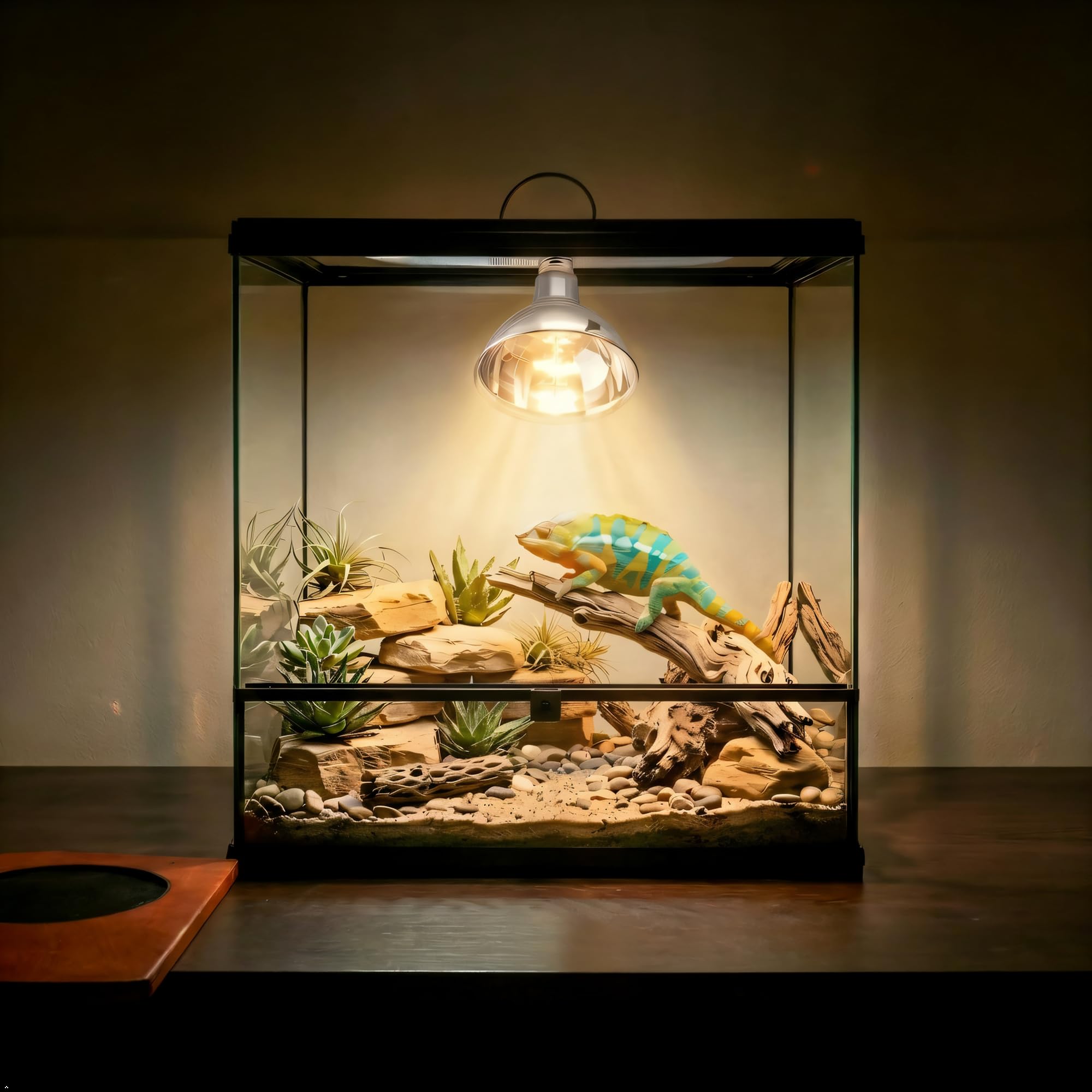 DERNORD UVA UVB Wärmelampe- UV Licht Lampe 80 Watt E27 für Schildkrötenhaus Gecko Bartagamen Terrarium Solar Strahler Vollspektrum Tageslichtlampe