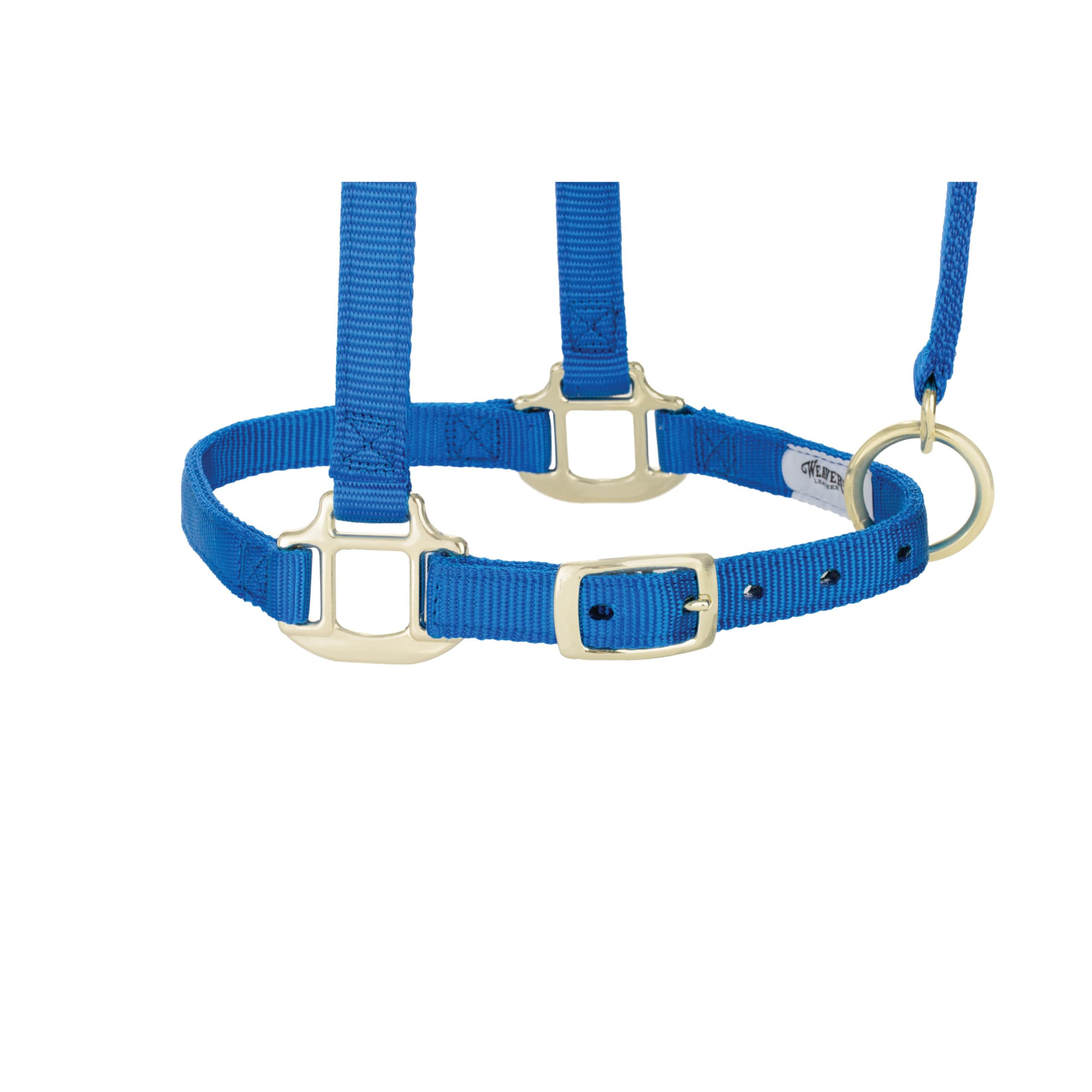Weaver Leather, Cavezza Regolabile in Nylon per Cavallo, Blu, per svezzamento/Pony