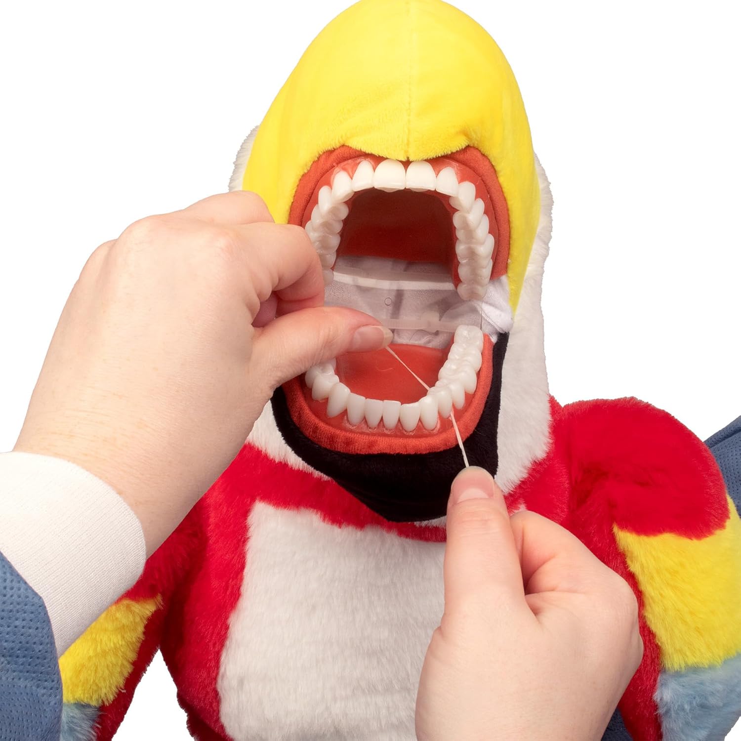 Practi Pals Stan Parrot Dental Hygiene Puppet, Dental Educational Plush Doll, Oral Health Teaching Aid with Fully Flossable Typodont