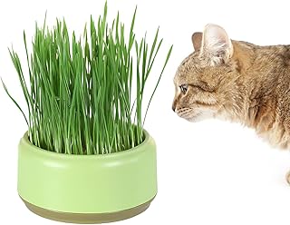 Cat Grass Growing Kit, Cat Grass Planter, Hydroponic Cat Grass Seeds Starter Tray Cat Grass Kit Plant Germination Trays Cat Grass Seed Sprouting Tray Keepatin