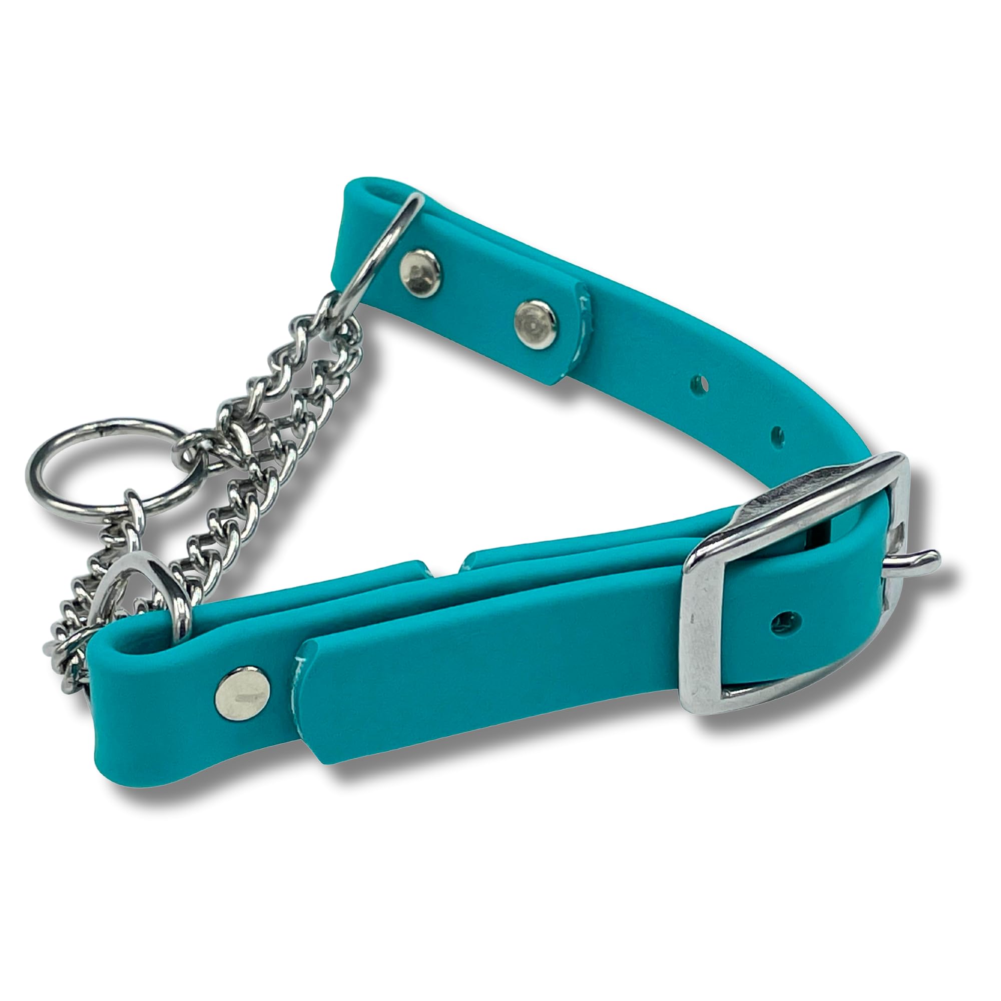 JIM HODGES DOG TRAINING Martingale Collar for Dogs, Biothane, Stainless Steel Hardware, No Pull, Made in The USA, Professional Grade, Medium, Teal