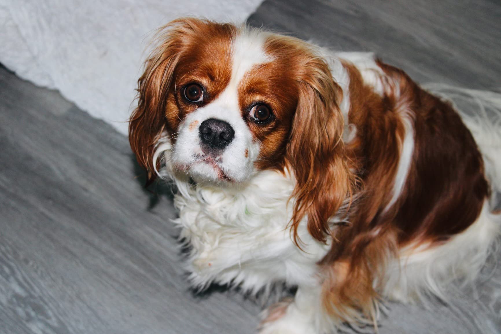 35/mo Finance Canon EOS 4000D / Rebel T100 Digital SLR Camera Body w/Canon EFS 1855mm f/3.5