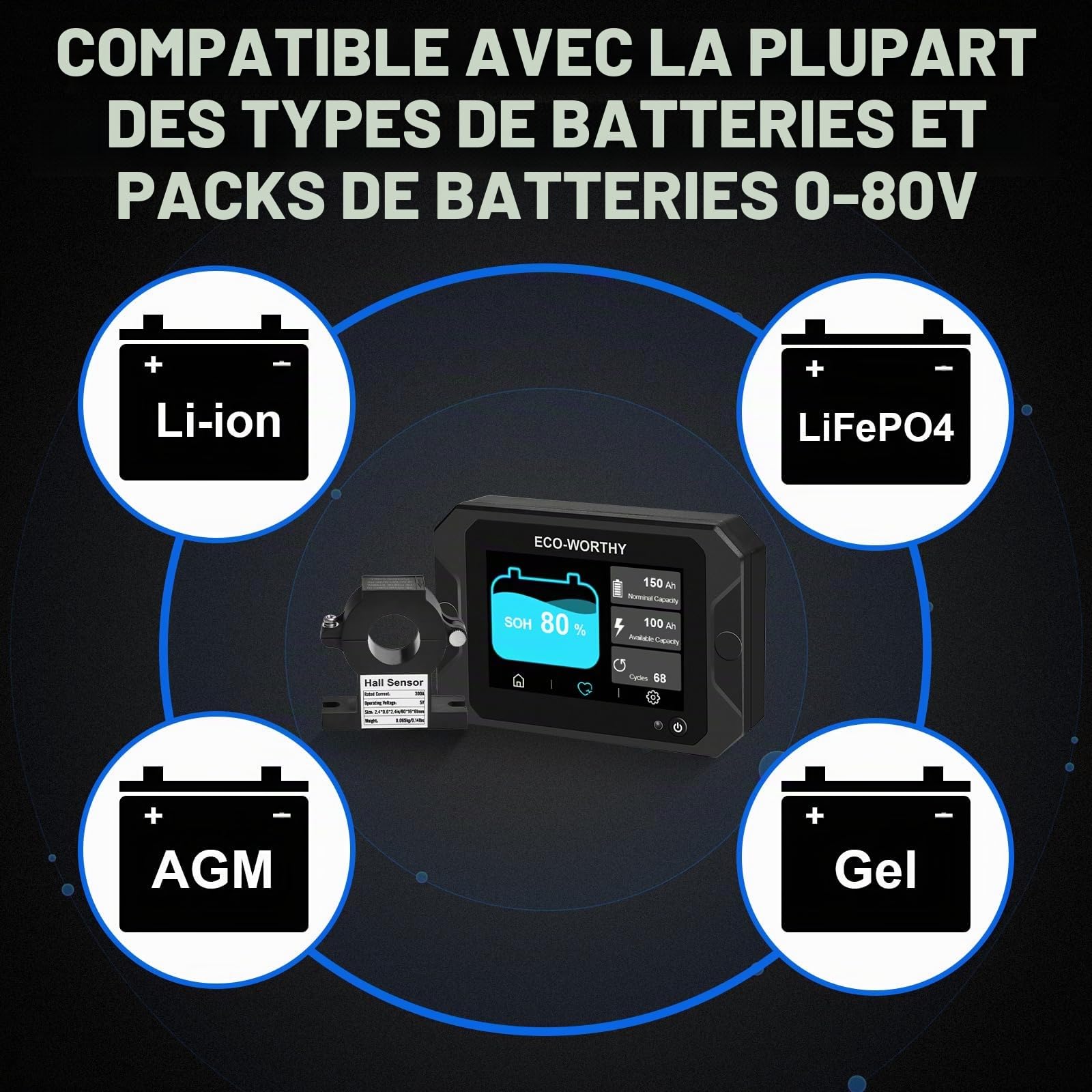 ECO-WORTHY Moniteur de Batterie 300A avec Capteur Hall, Moniteur de Batterie 9-80V pour Batterie Li-ion/LiFePO4/AGM/Gel dans Système Solaire/Chariot/RV