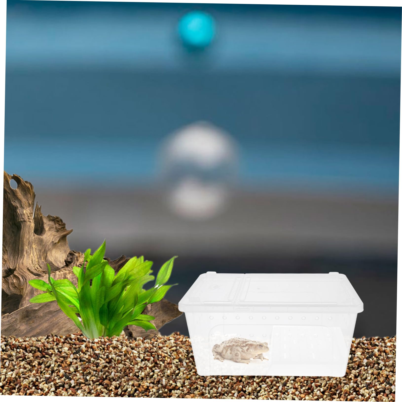 Didiseaon Turtle Tank Aquarium con Piattaforma e Rampa in Plastico | Area Riposo e Alimentazione, Osservazione Quotidiana, per Tartaruga e Testuggine