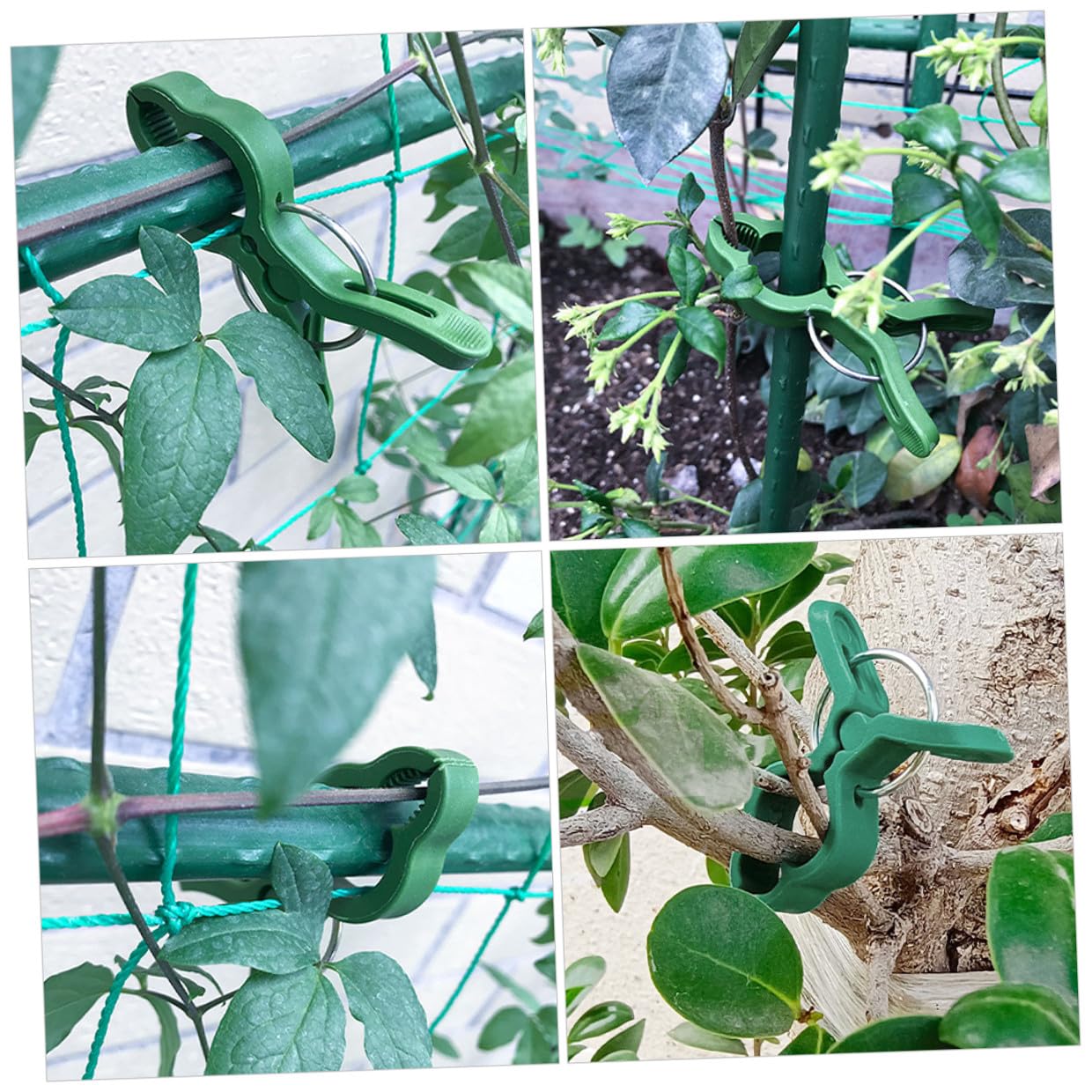 NUOBESTY 60 Stück Pflanzenclips Kunststoff Großer Gartenstützclip Für Kletterpflanzen Tomaten Blumen Gemüse Rankhilfe Wiederverwendbar
