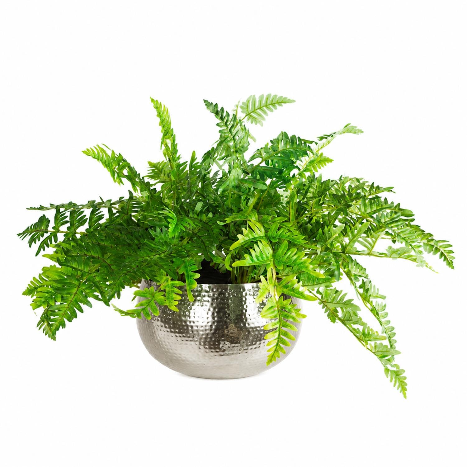 Leaf Large Artificial Ferns Display with XL Metal Silver Bowl Planter 50x65cm, 50cm x 65cm, LEAF-7306-7145x3