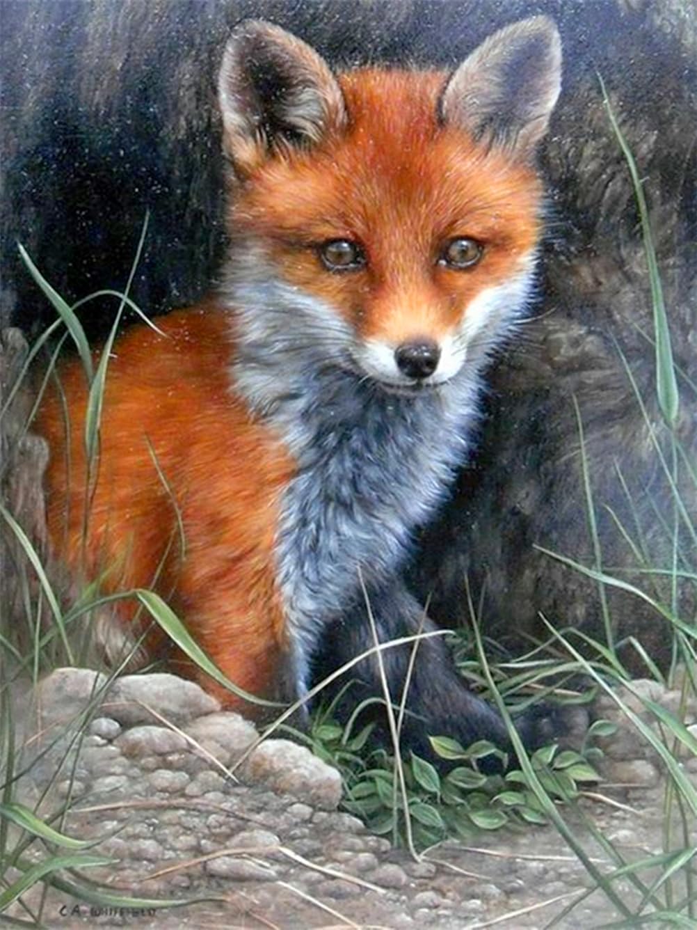 Meecaa Cross Stitch Kits 11 Count Stamped, Fox Animal Embroidery Kit with Accessories Pre Printed (36CMx46CM) (Fox)