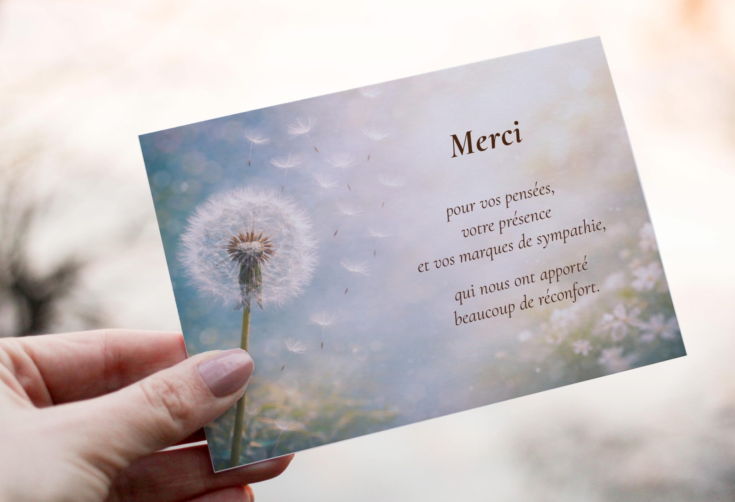 Lot de 50 Cartes de remerciements décès condoléances + 50 Enveloppes autocollantes Visuel Pissenlit 10x15 cm