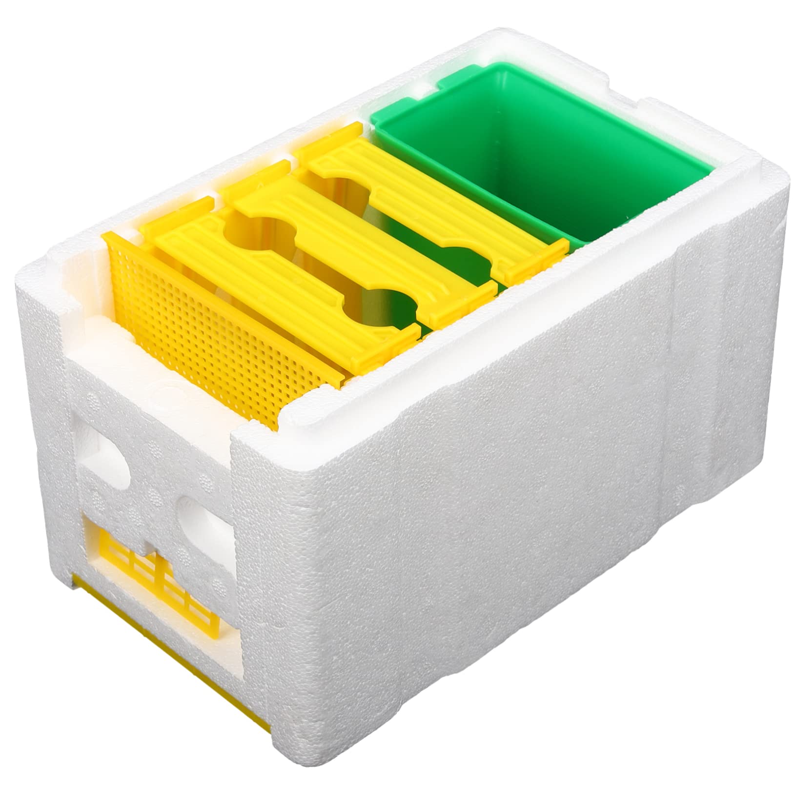 Scatole Per Api in Plastica Scatole Per Arnie Arnia Per Api Mellifere Arnia Assemblata