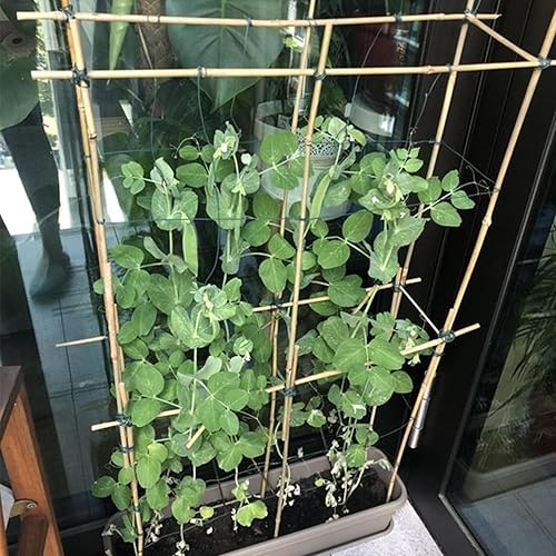 Miniatura 7 de RONGJIA Estacas de bambú fuertes, estacas multiusos de soporte de plantas, la mejor decoración de estacas de jardín para tomate, frijol, flores,