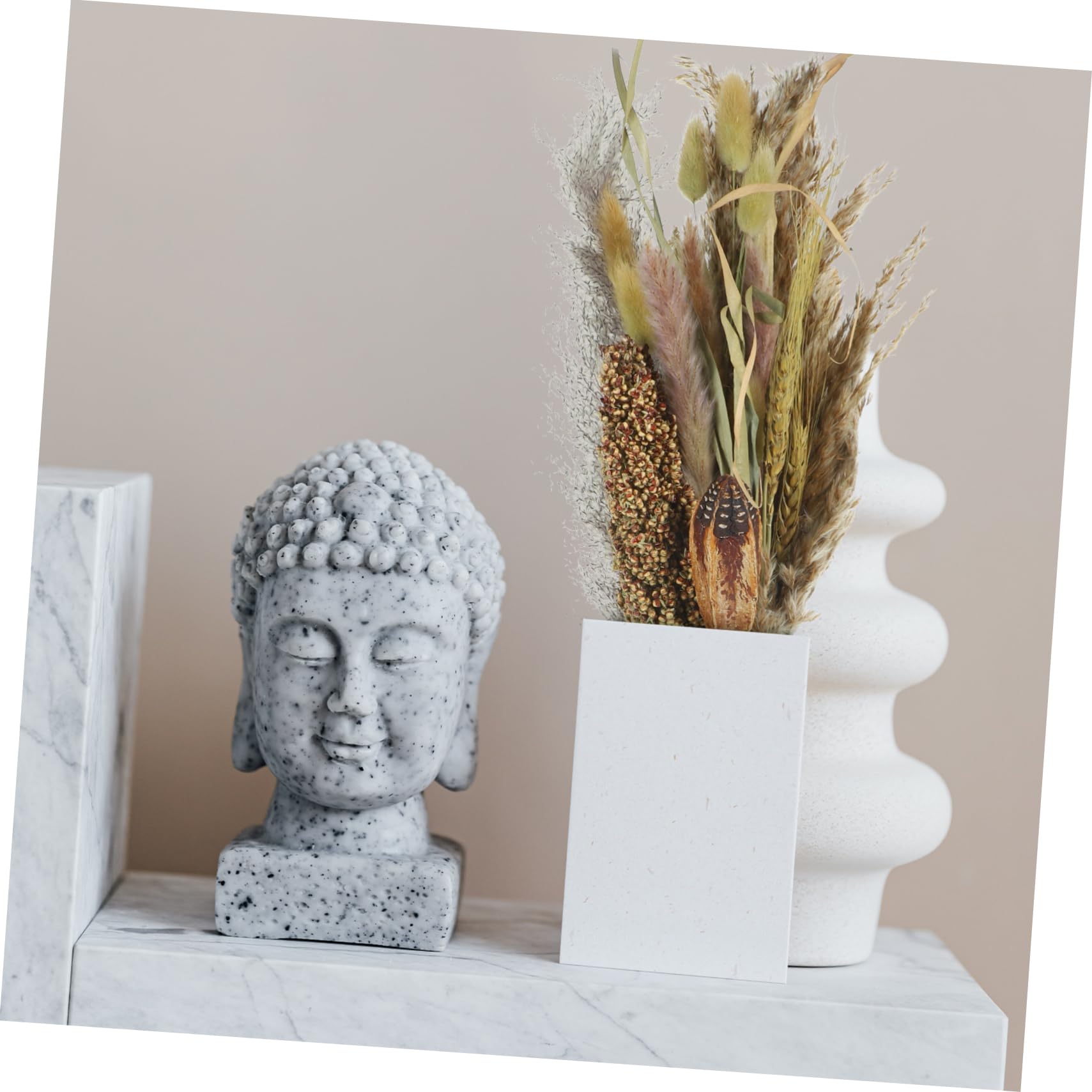 DECHOUS 2pezzi Bundle Di Decorazioni Naturali Pampas e Broomcorn Per Vasi Bouquet Essiccati Per Arredare Casa e Eventi Speciali Atmosfera Bohemien e Nordic