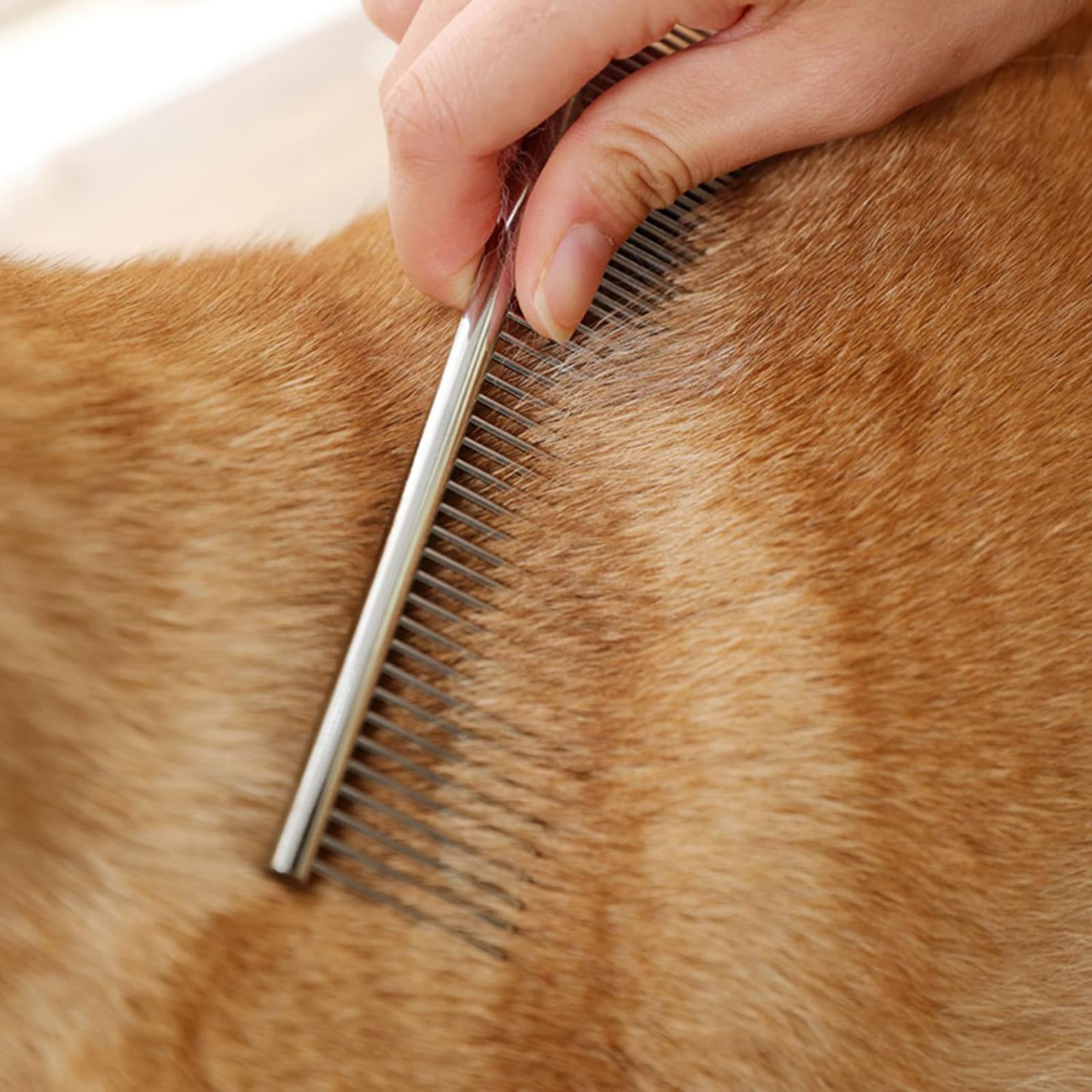 Kit de Bain pour Chien 4-en-1 – Ensemble de Toilettage avec Serviette de Séchage, Gants de Lavage, Peigne en Métal, Brosse de Massage – Accessoires de Toilette Idéal pour Animaux (4-Gris)