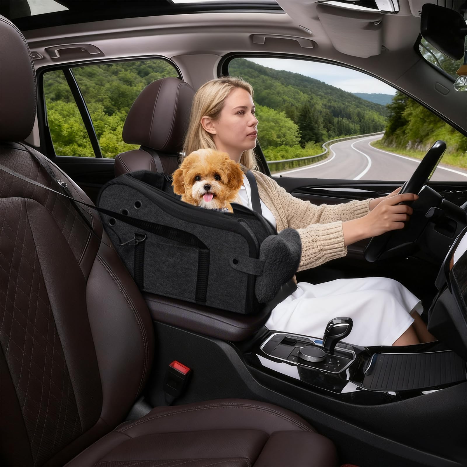 Hunde Autositz für kleine Hunde, Hundesitz Auto Mittelkonsole mit Sicherheitsgurt, Verstellbarem Weichen Kissen, Tragbarer Hundebett Auto für Kleine Haustiere