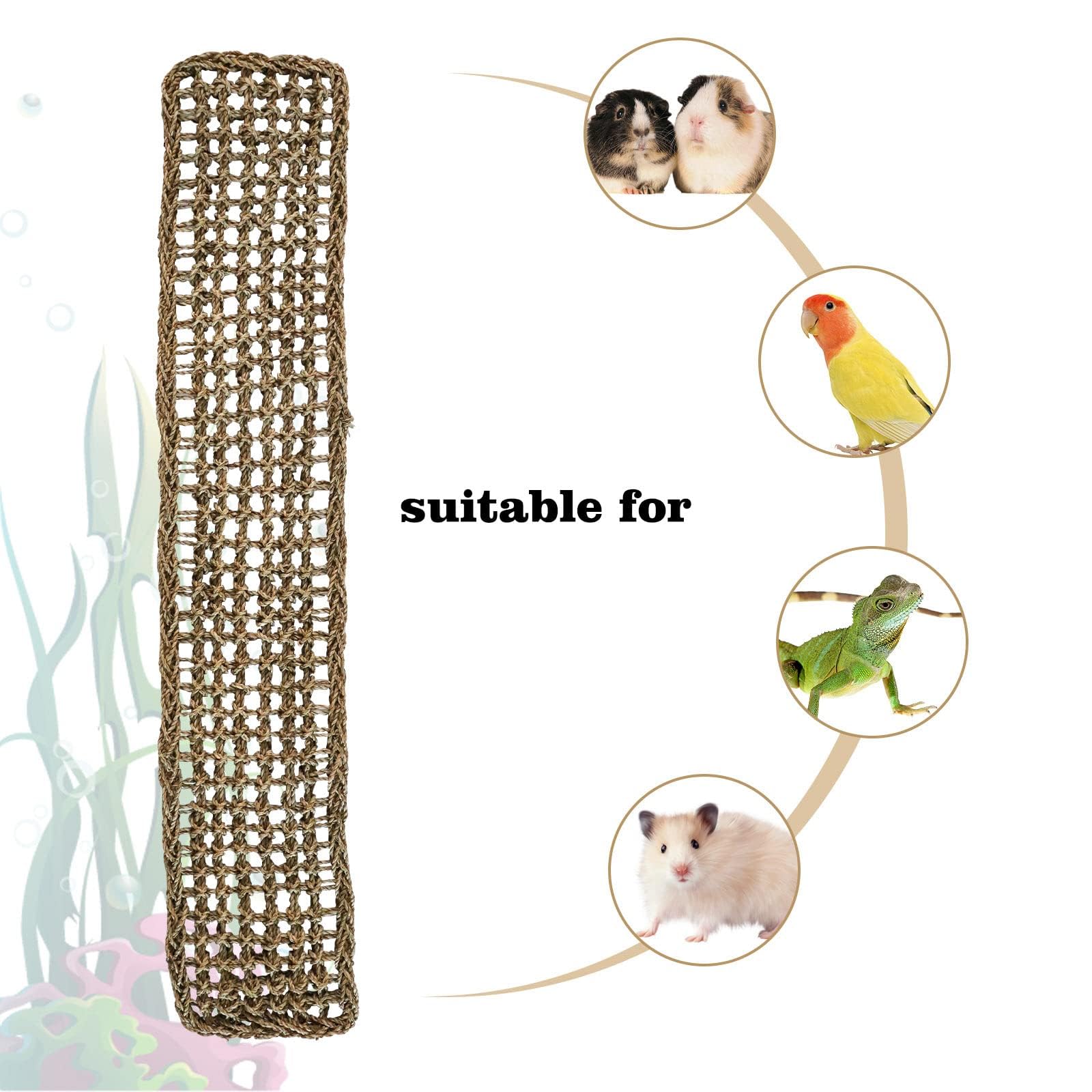 Dnoifne Tappetino in Erba Marina 100 × 18 cm – Rete Intrecciata Naturale con Ganci – Amaca e Scala per Uccelli, Roditori e Piccoli Animali